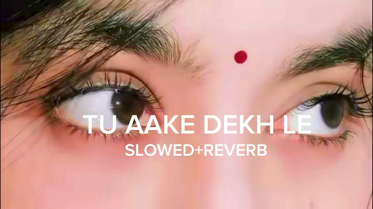 TU AAKE DEKH LE |KING 👑 SLOWED-REVERB |1XANMOL
