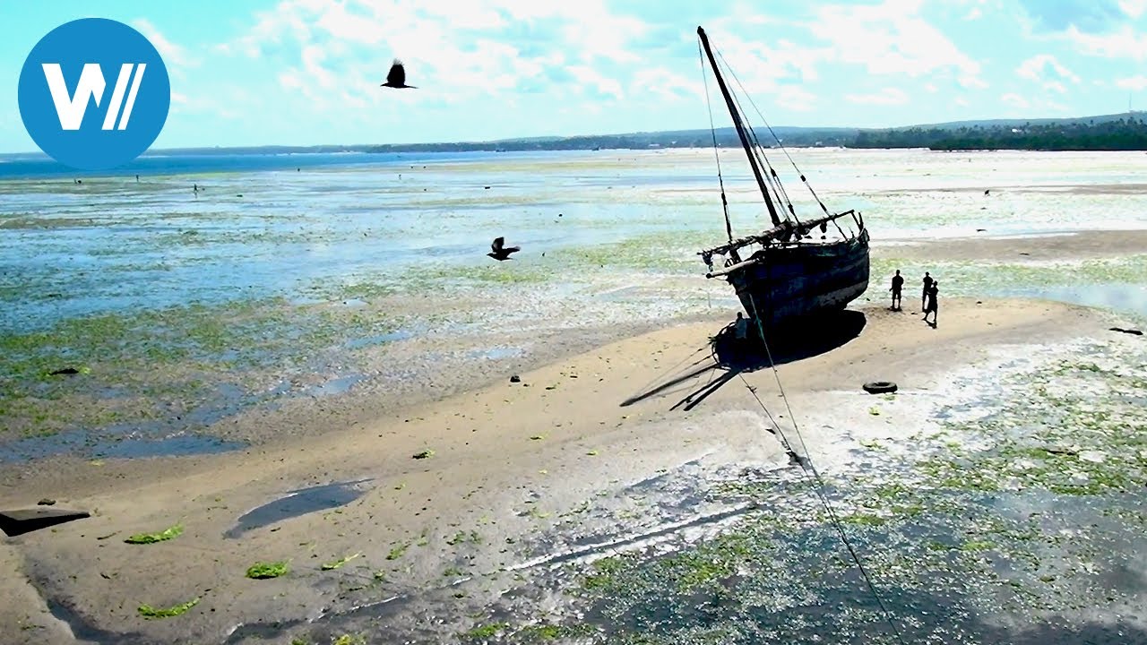 Zanzibar - Paradise of the senses surrounded by crystal clear water