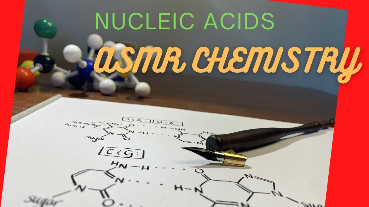 ASMR Chemistry: Nucleic Acids | Nucleotides | DNA & RNA | Hydrogen Bonding