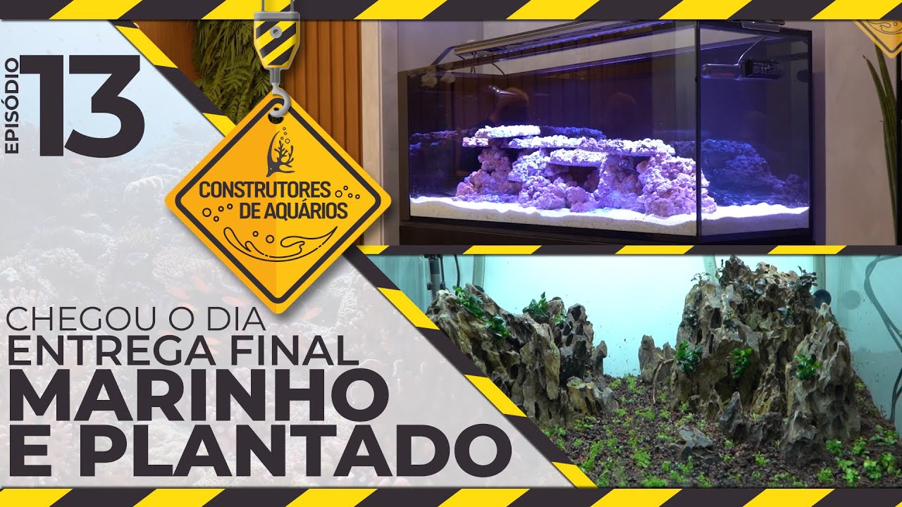 ENTREGA FINAL - MARINHO E PLANTADO