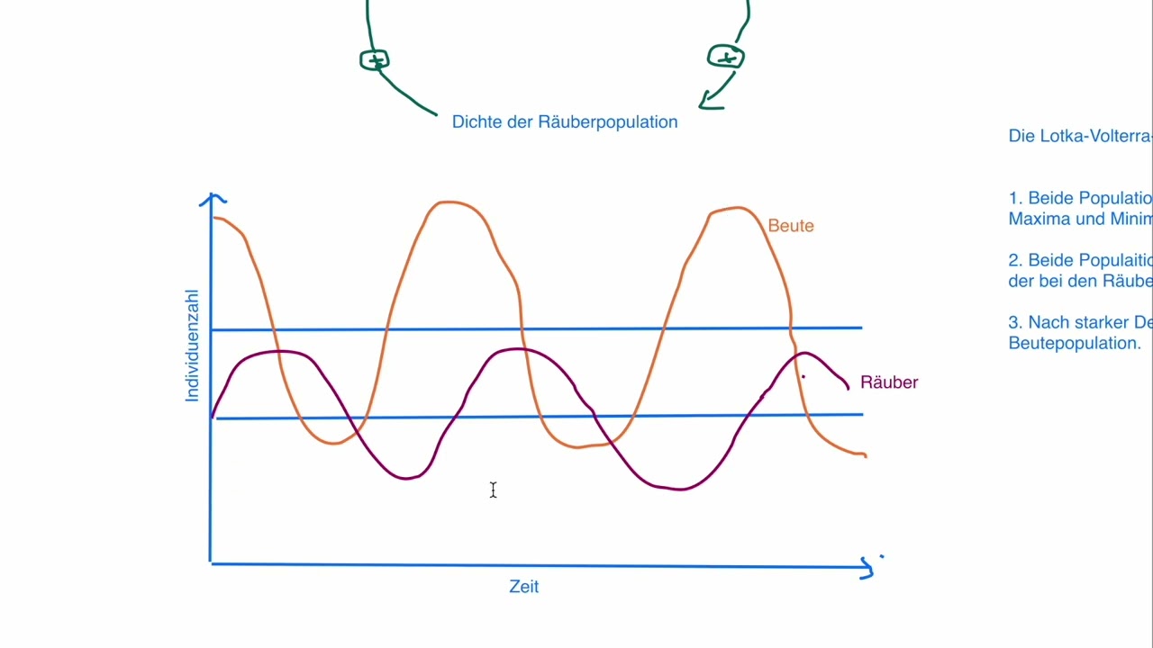 Ökologie - Dynamik von Populationen: Räuber-Beute-Beziehung, Lotka-Volterra-Regeln