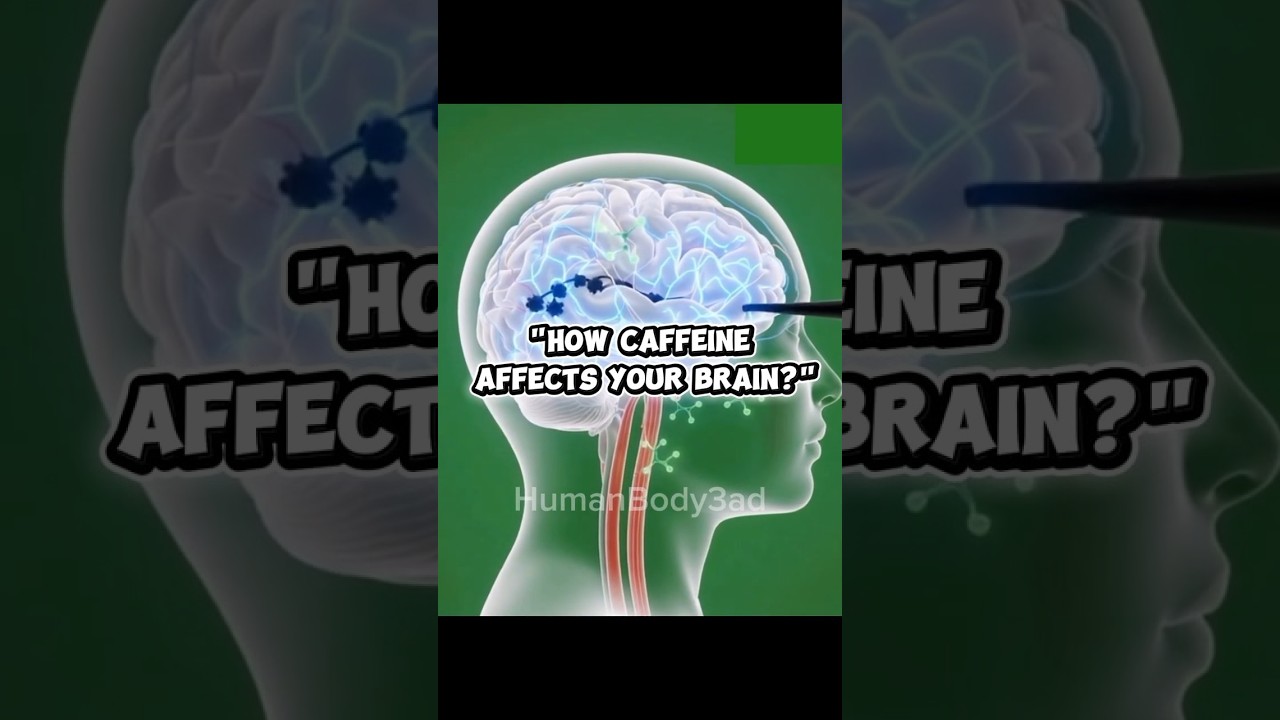 ​How CAFFEINE affects YOUR BRAIN?