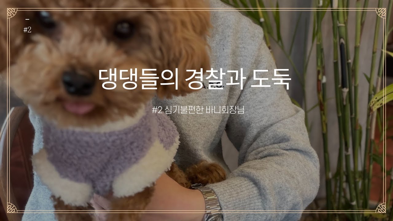 댕댕이들의 경찰과 도둑