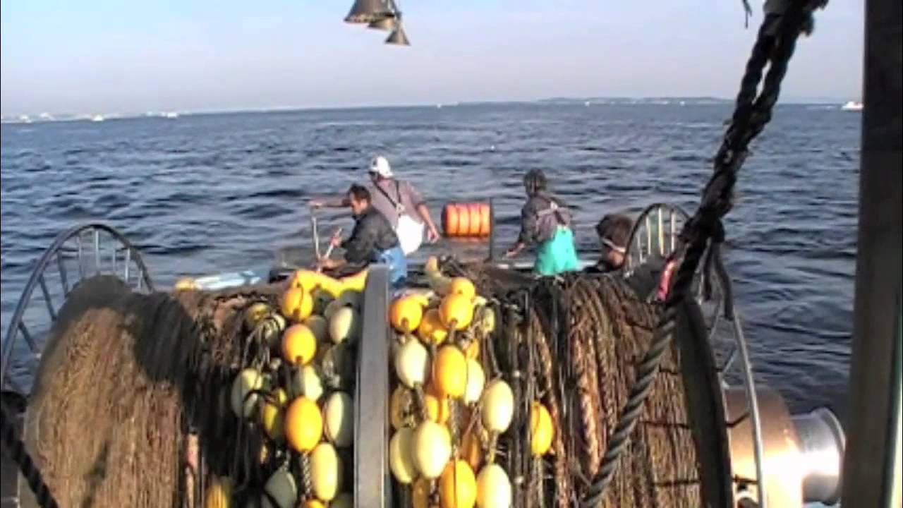 大弘丸〜日間賀島シラス漁師〜