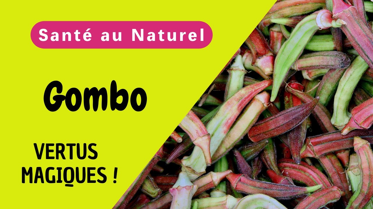 Découvrez les Pouvoirs Étonnants des GOMBOS pour une Santé de Fer !