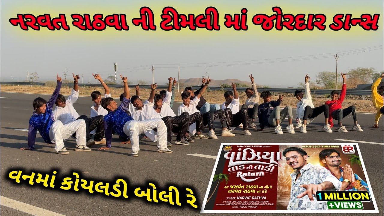 Timli Dance 2025 Bindass Group Narvat રાઠવા Jasvant Rathva || નરવત રાઠવા ટીમલી વાંજીયા તાડ ની તાડી