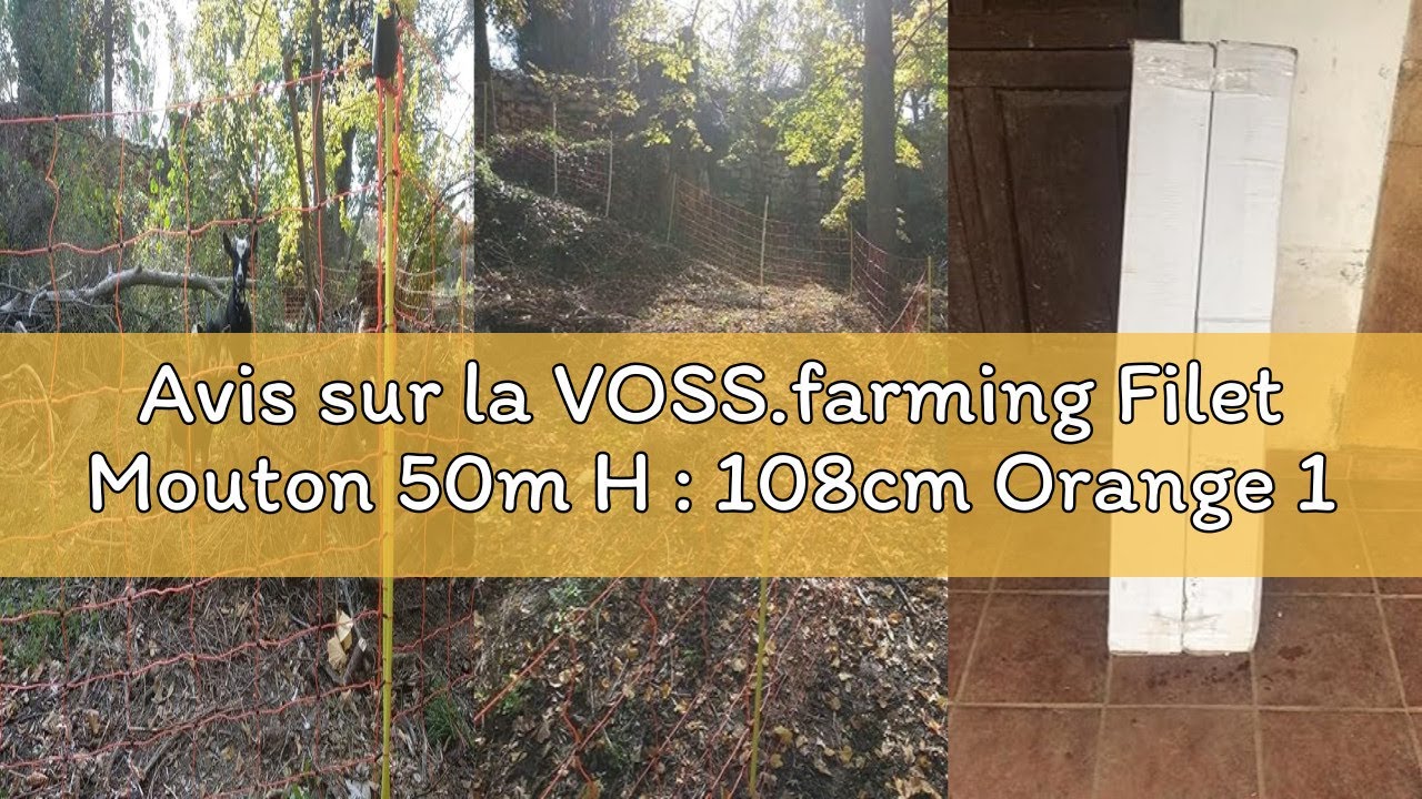 Avis sur la VOSS.farming Filet Mouton 50m H : 108cm Orange 14 piquets Double Pointe clôture électriq