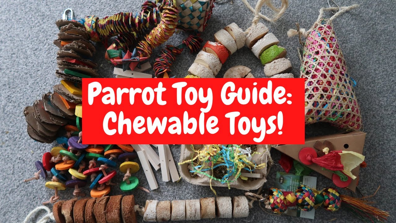 Parrot Chewable Toy Guide | TheParrotTeacher