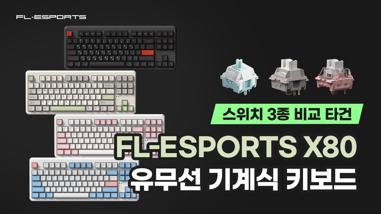 FL-ESPORTS X80 텐키리스 유무선 기계식 키보드 스위치 3종 비교 타건