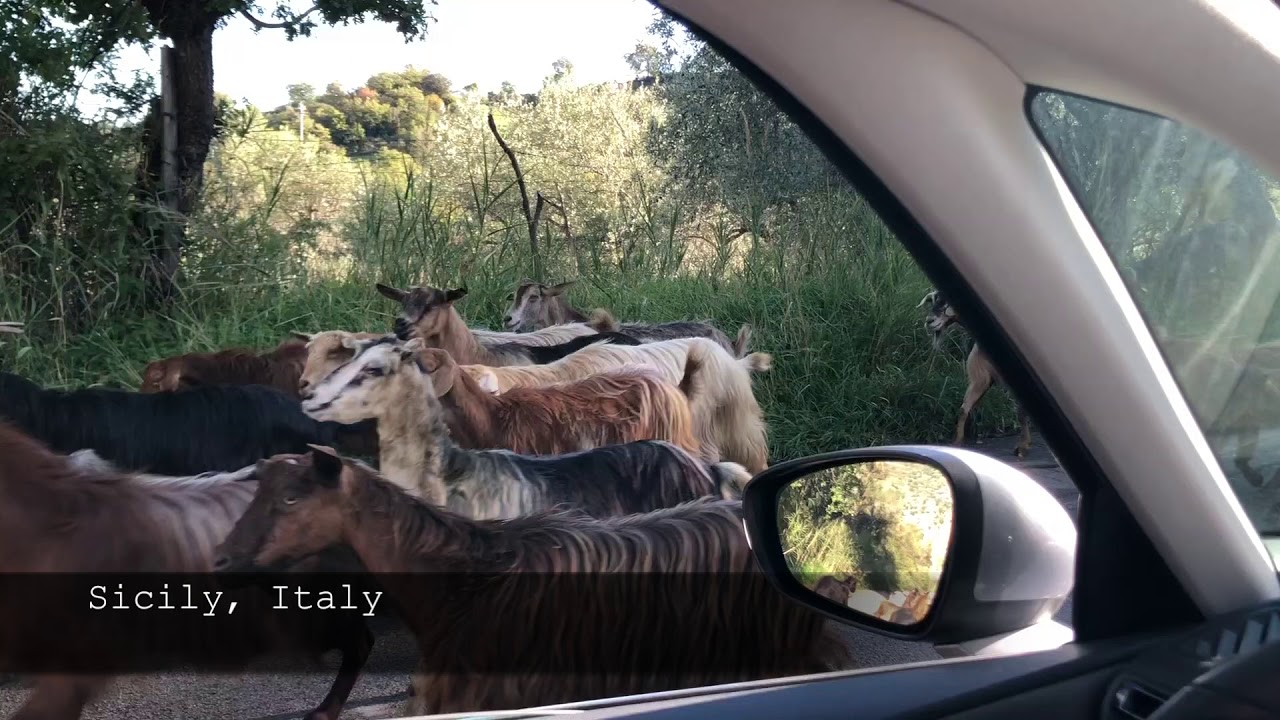 Book Trailer: The Forest Feast Mediterranean