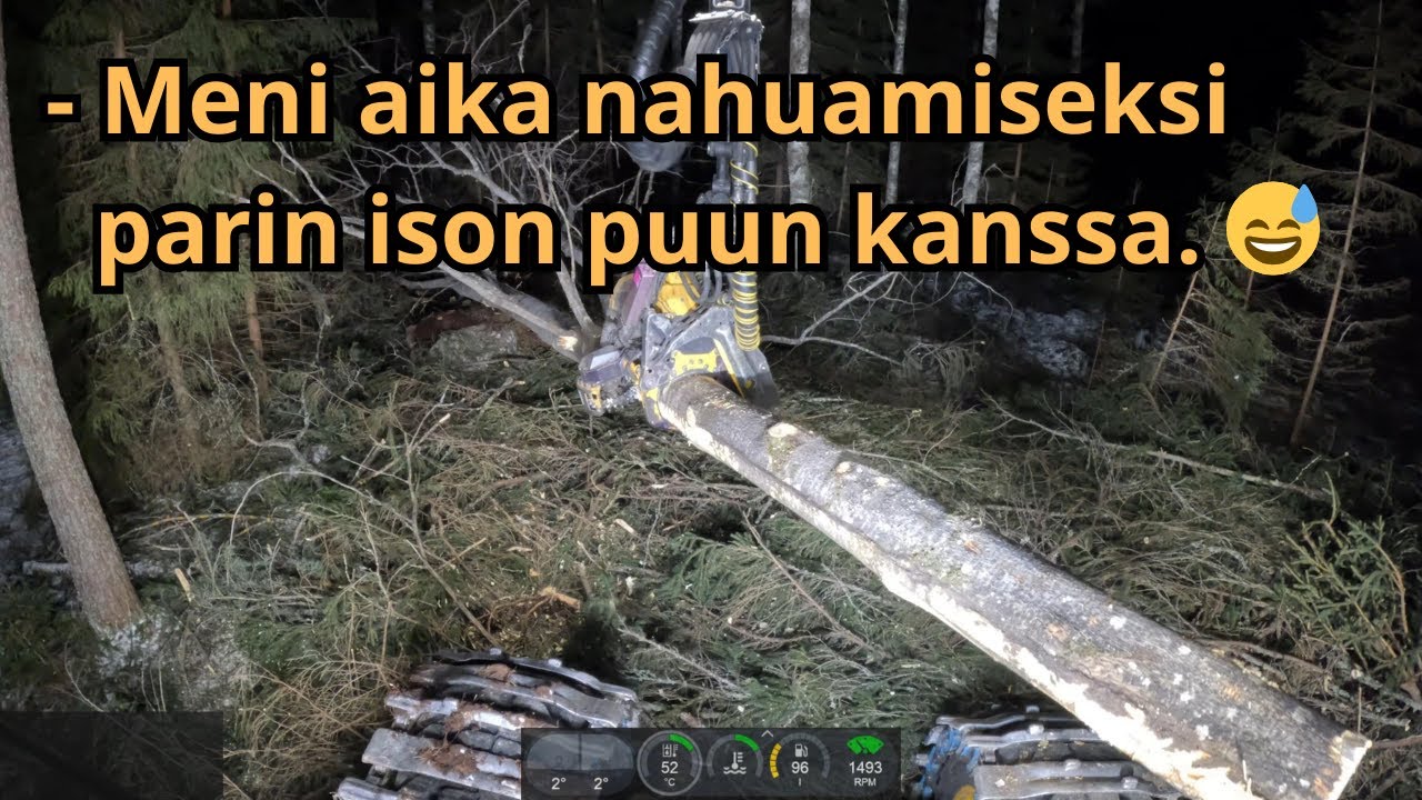 Eräänlainen kuutamo keikka. Yö hakkailua uudistushakkuulla. VR125. Ponsse Scorpion K H7 AC FC