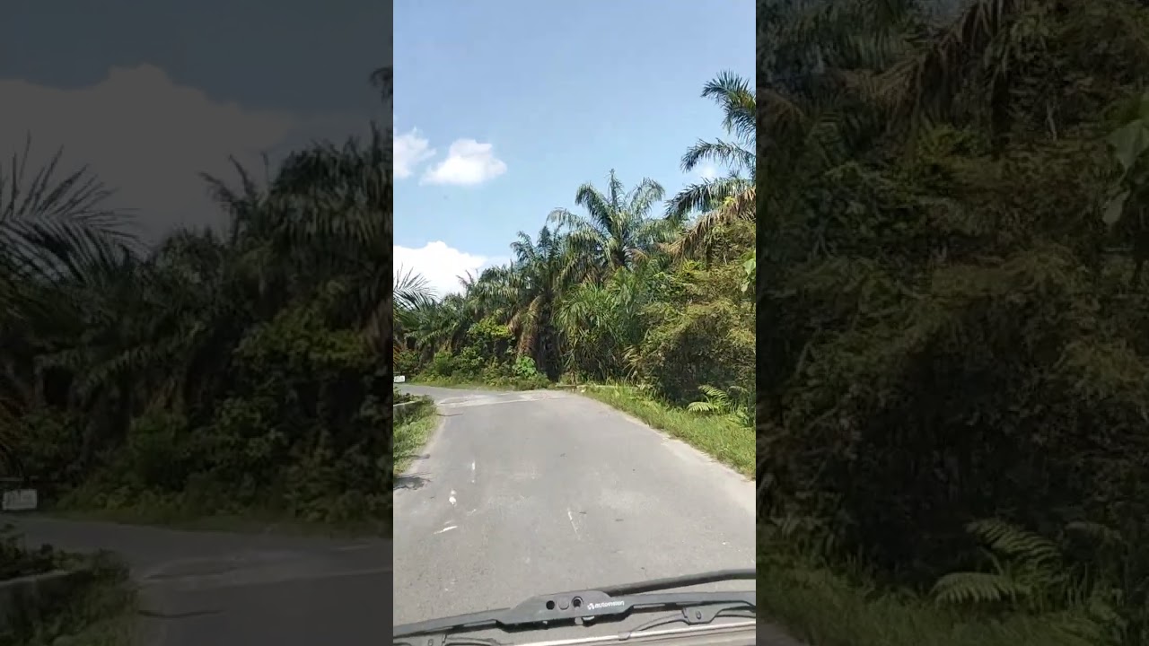 Sudah mendekati toko kita. Pulang belanja dari Aek kanopan 