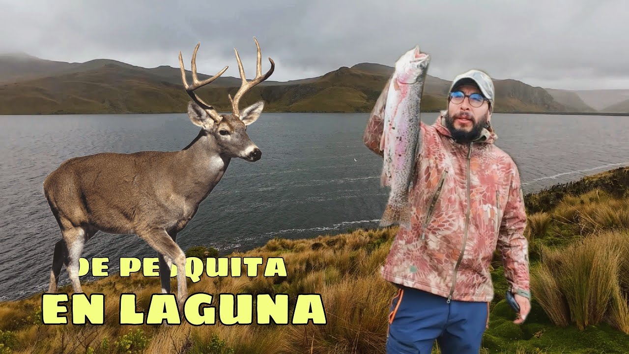 UNA AVENTURA EN LOS PARAMOS DEL ANTISANA/ AHORA SI SALIO UNAS TRUCHAS GIGANTES