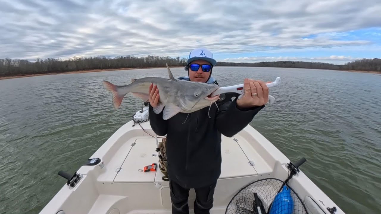 Wintertime Blues Catfishing Jan 2026