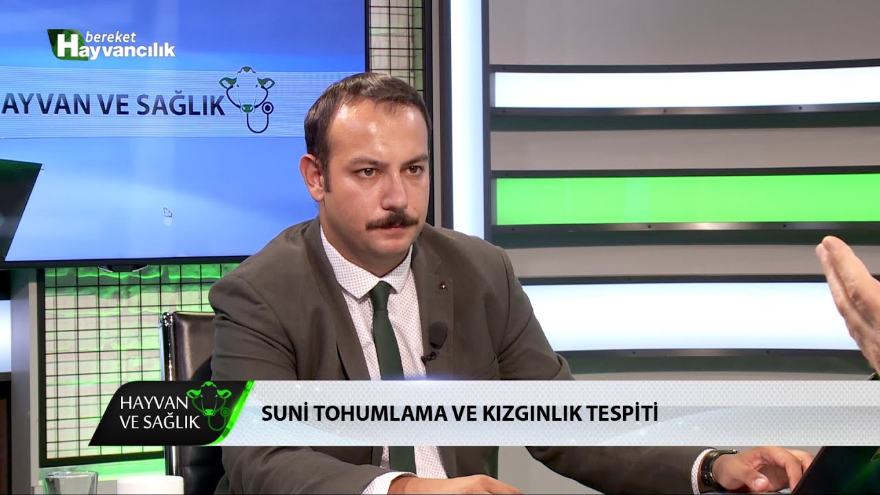 Hayvan Ve Sağlık | Kızgınlık İğnesi Kullanma Sıklığı Nedir?