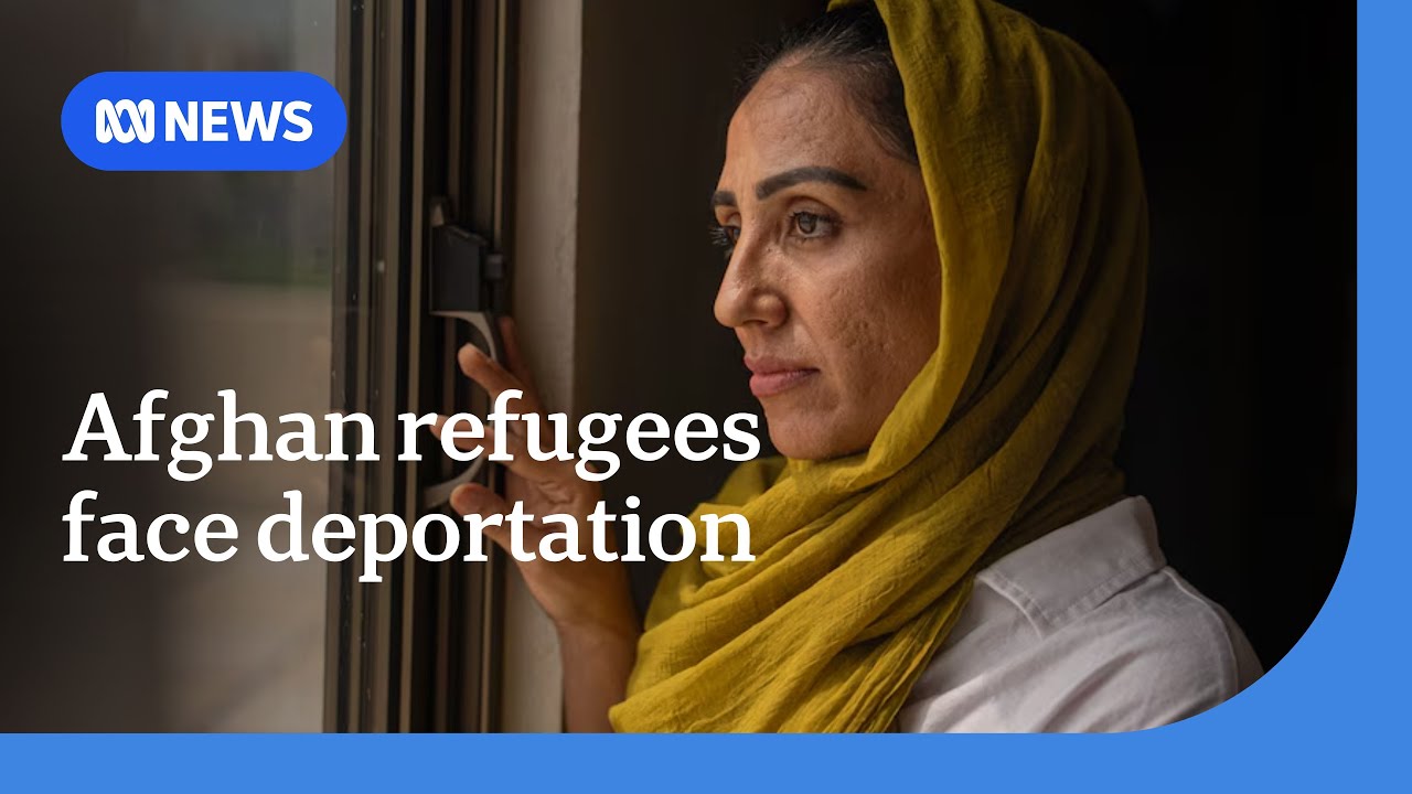 Growing concerns as millions of Afghan refugees face deportation from Pakistan | ABC NEWS