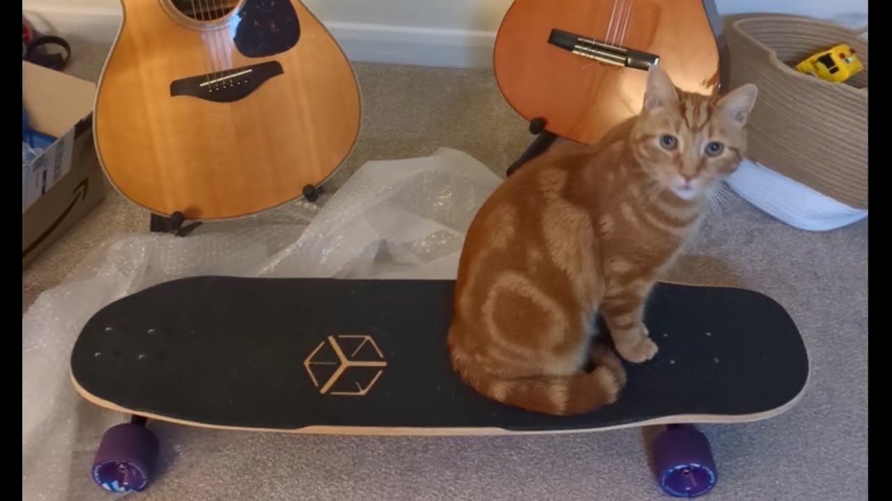 Learning to longboard progression update - day 4 - NEW BOARD