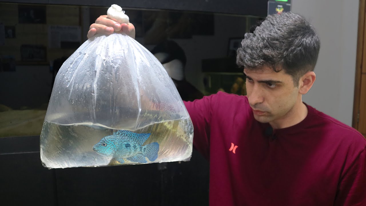 GANHEI UM PEIXE LINDO QUE POUCOS DÃO VALOR!