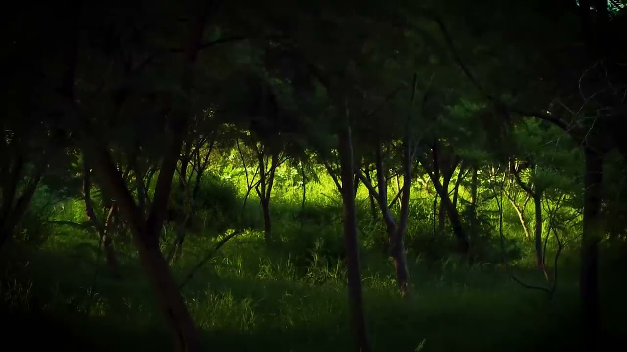 [10 Hrs.] — Jeremy Soule's “Skyrim Atmospheres” (Extended)