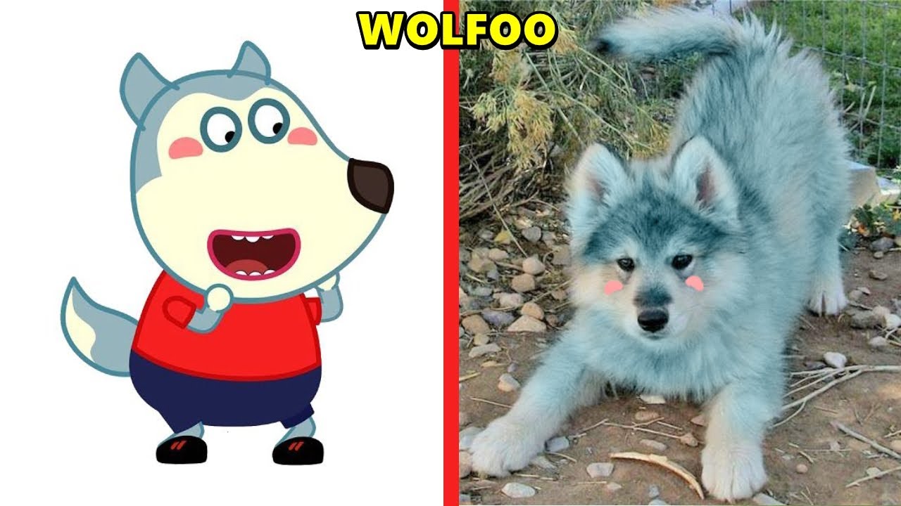 Wolfoo Characters in Real Life ( 2023 )