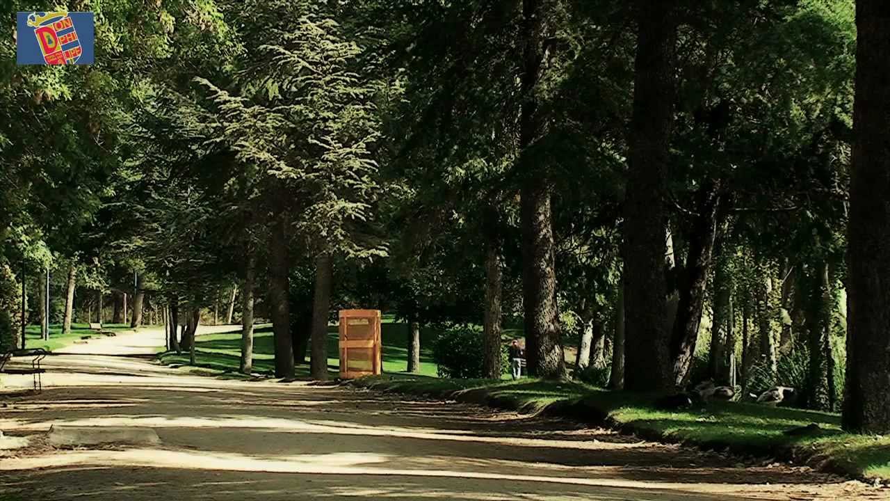 M&oacute;stoles, una ciudad verde