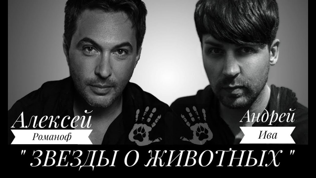 Алексей Романоф - экс солист группы «Амега»  композитор и продюсер. Интервью о бездомных животных