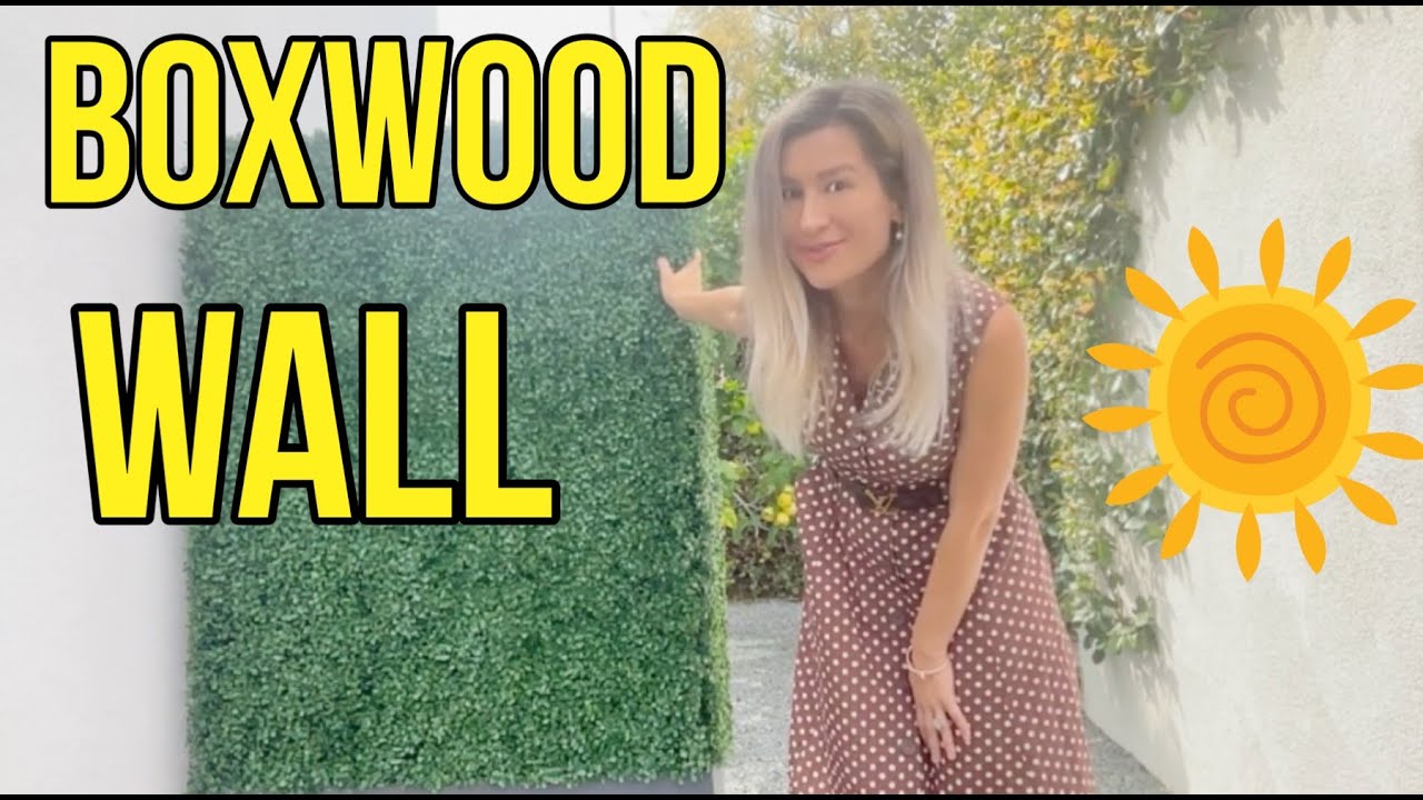 Upgraded Artificial Boxwood Hedge Wall