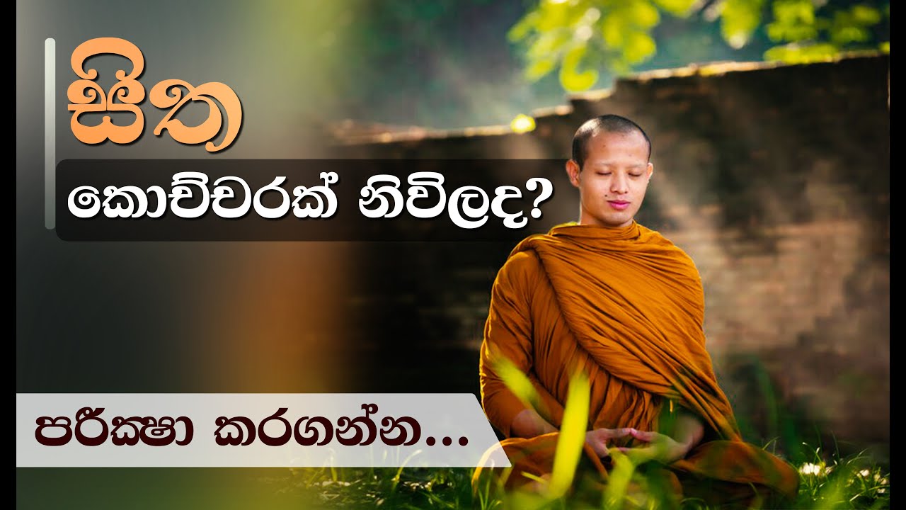 සිත කොච්චරක් නිවිලද..? | Niwan Dakimu