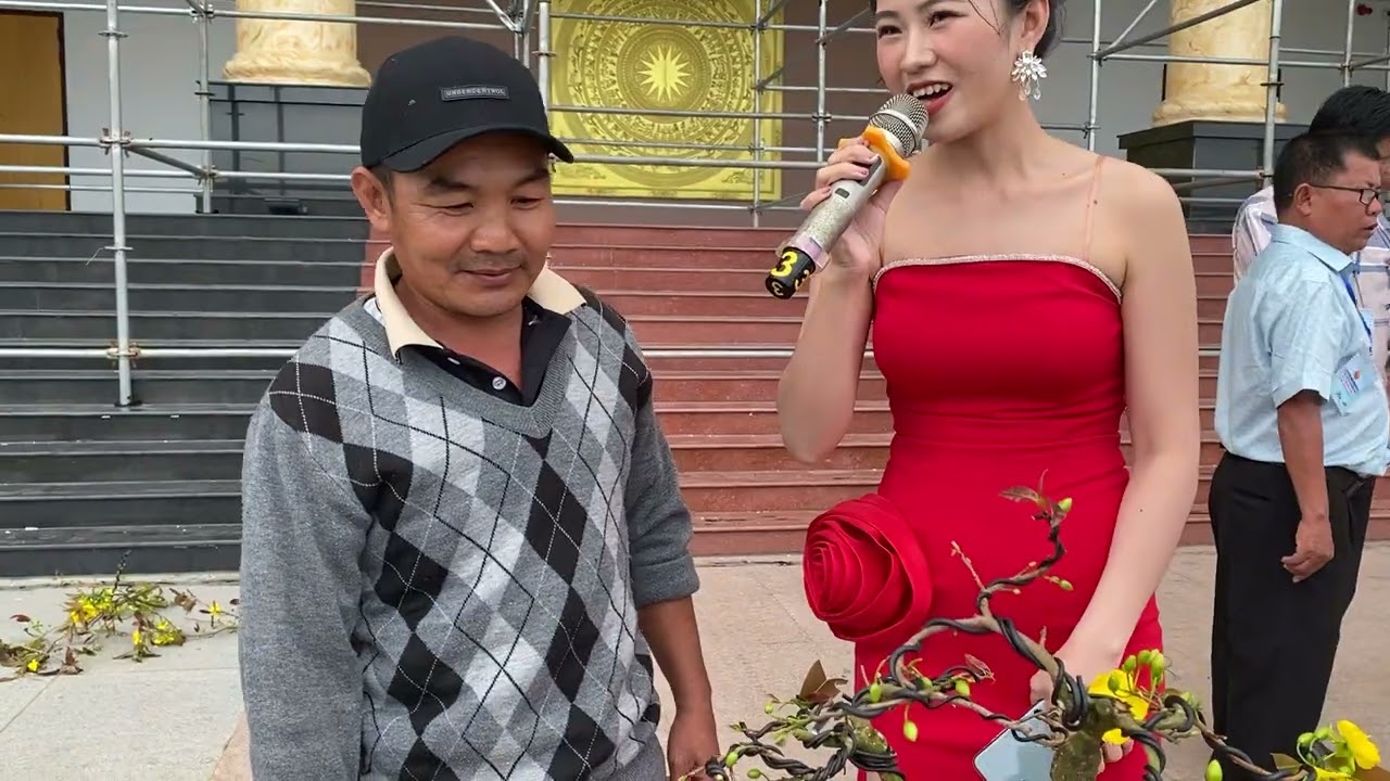 Thi tạo dáng mai mới nhất tại lễ hội mai vàng An nhơn 2025