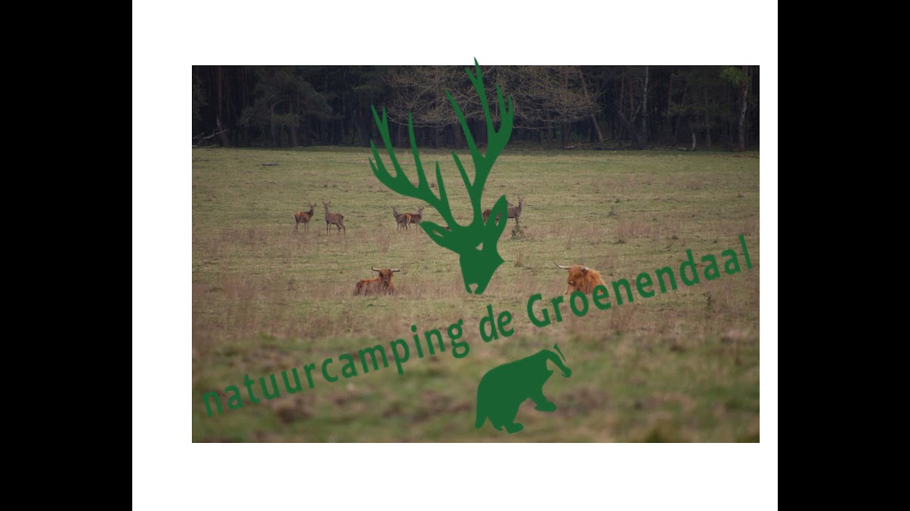 2022#47#Natuurcamping De Groenendaal, Groenendaal