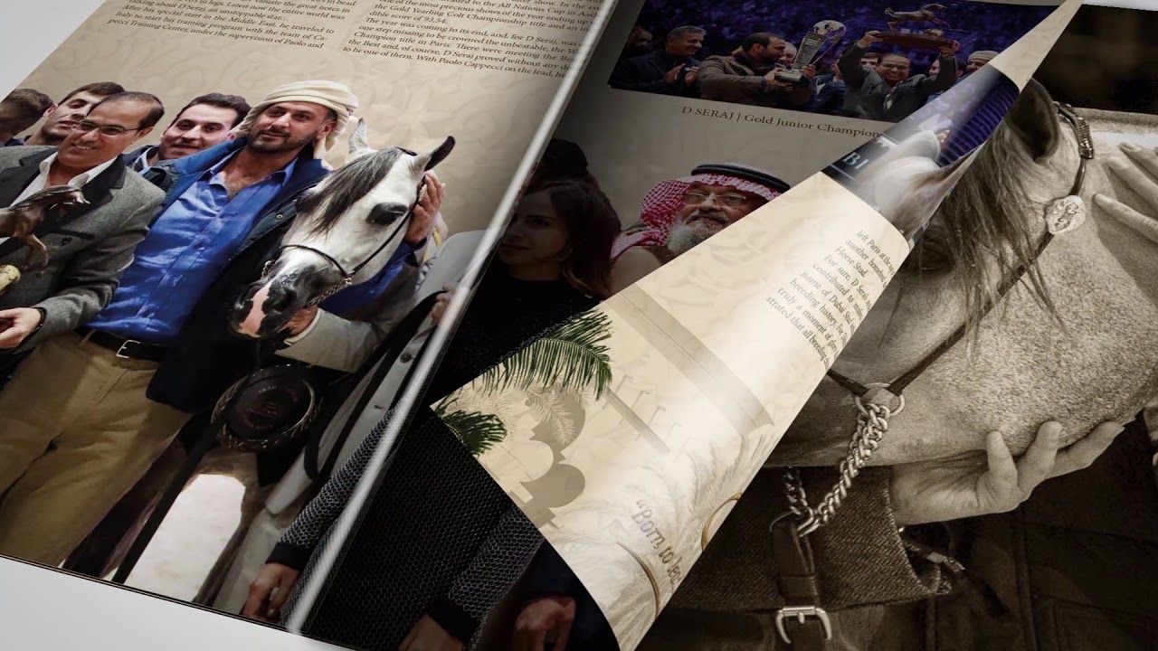 Arabian Horse Magazine