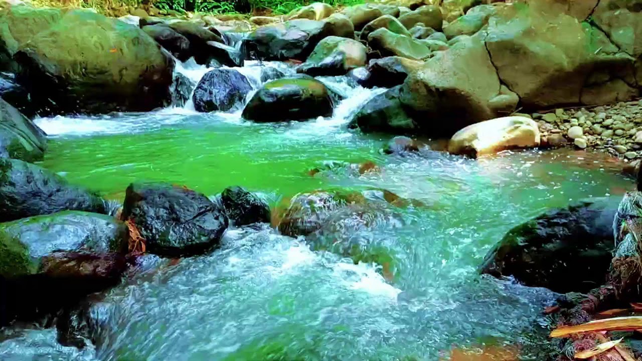 Natural River Ambience with Gentle Flowing Water for Deep Sleep and Mental Calmness