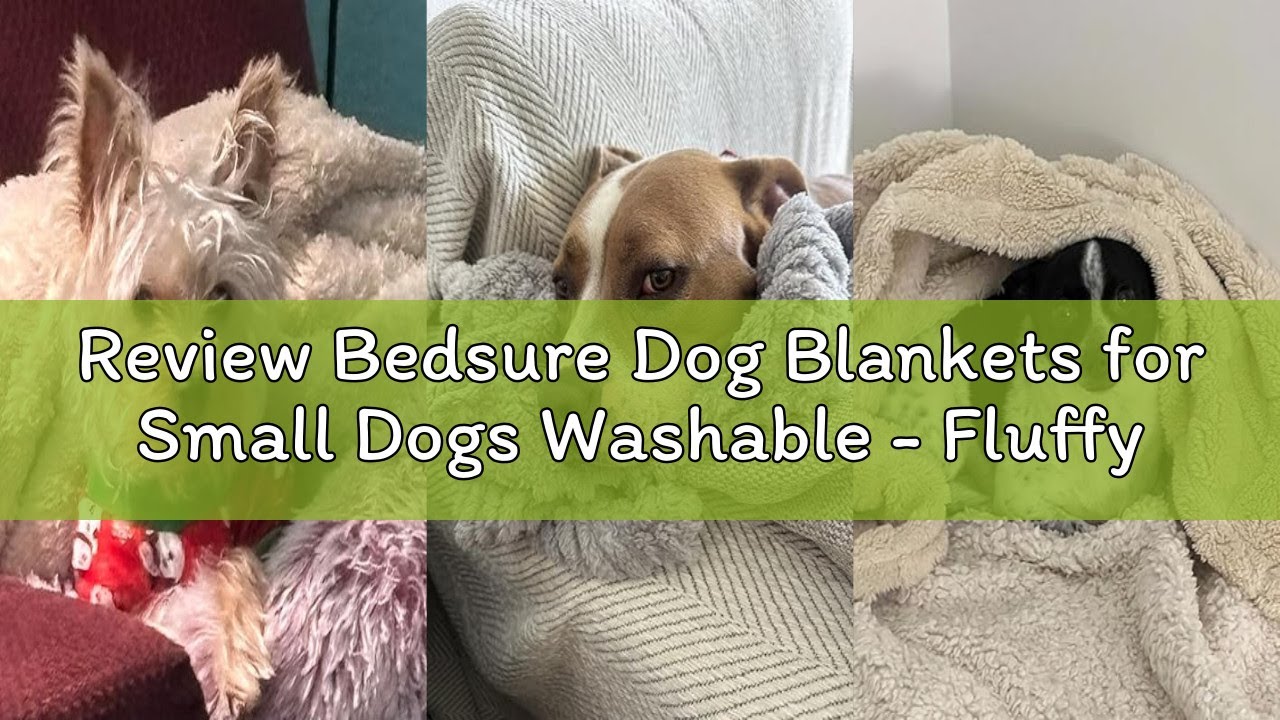 Review Bedsure Dog Blankets for Small Dogs Washable - Fluffy Fuzzy Cat Puppy Blanket with Premium 30