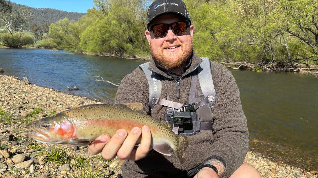 Rainbow and Brown Trout. Mitta Mitta River. Special feature- Snowy Creek Platypus. 