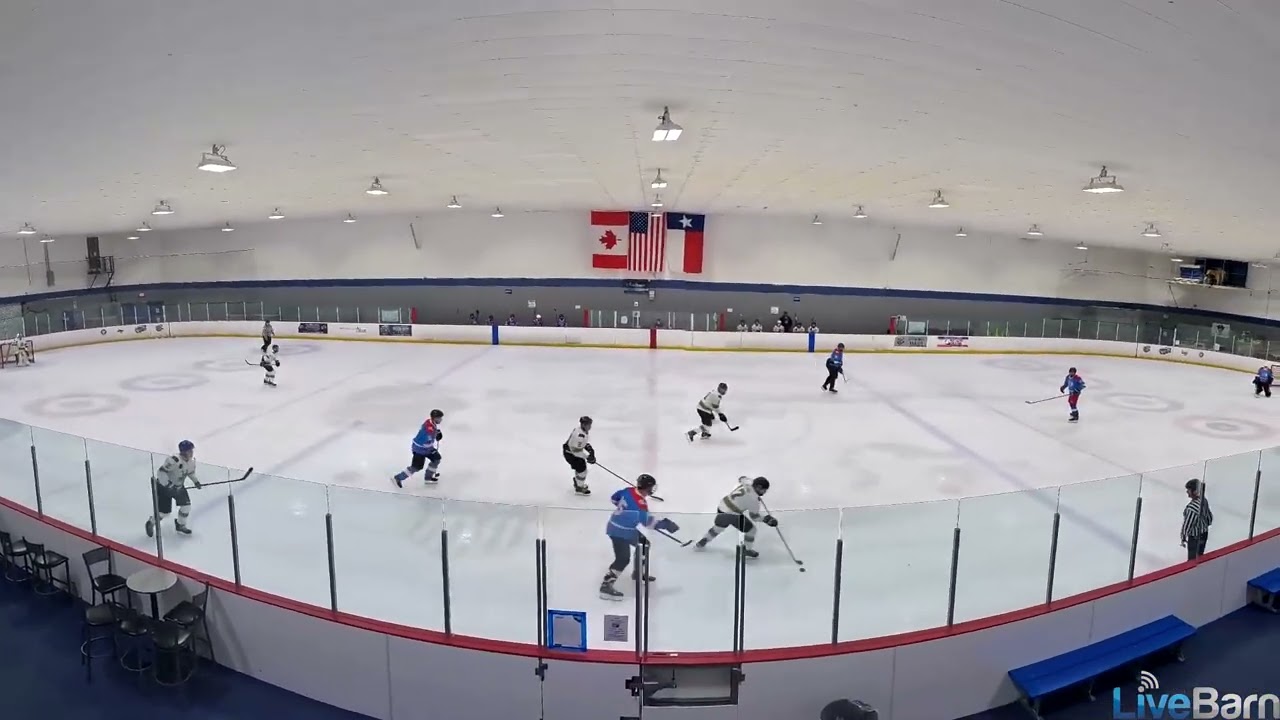 GGGOOOOOOOOAAAAALLLL on a backhand shot...from a beautiful pass...and a rebound...