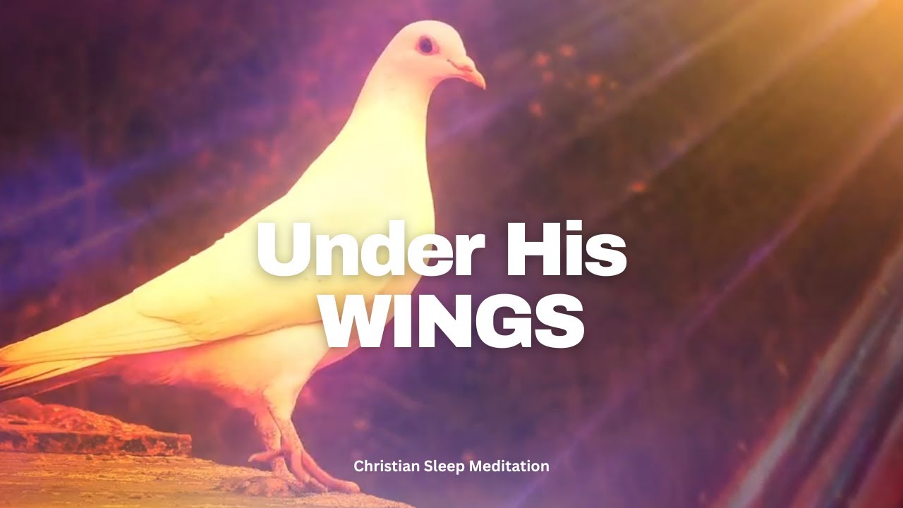 Under His Wings | Peaceful Scriptures for Sleep & Deep Rest | Christian Sleep Meditation