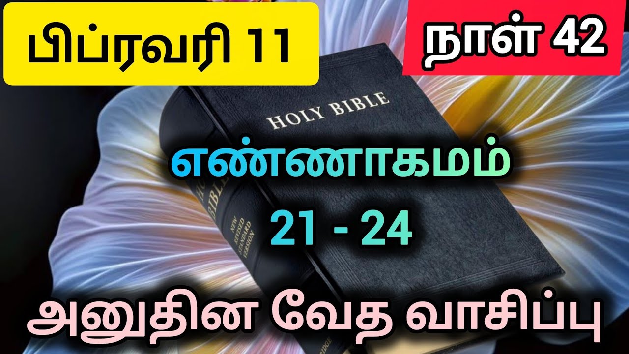 அனுதின வேத வாசிப்பு || பிப்ரவரி 11 நாள்  42 || Daily bible reading February 11 Day 42