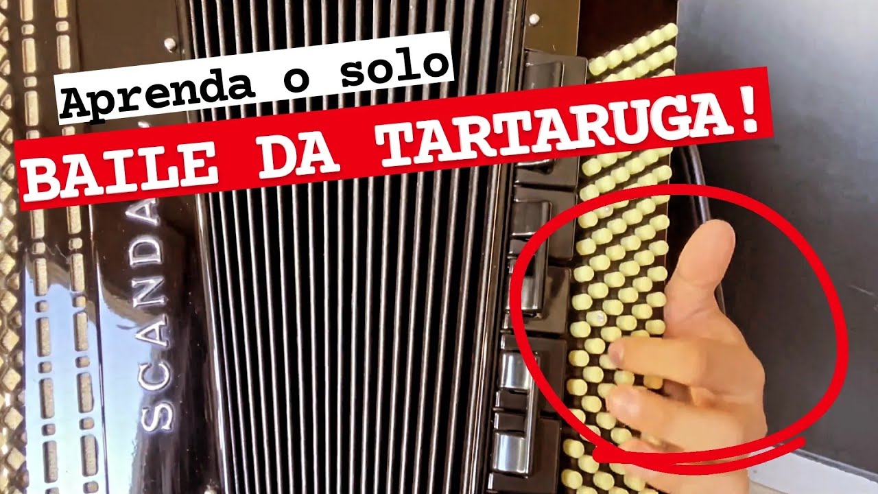 Aula BAILE DA TARTARUGA completa no acordeon