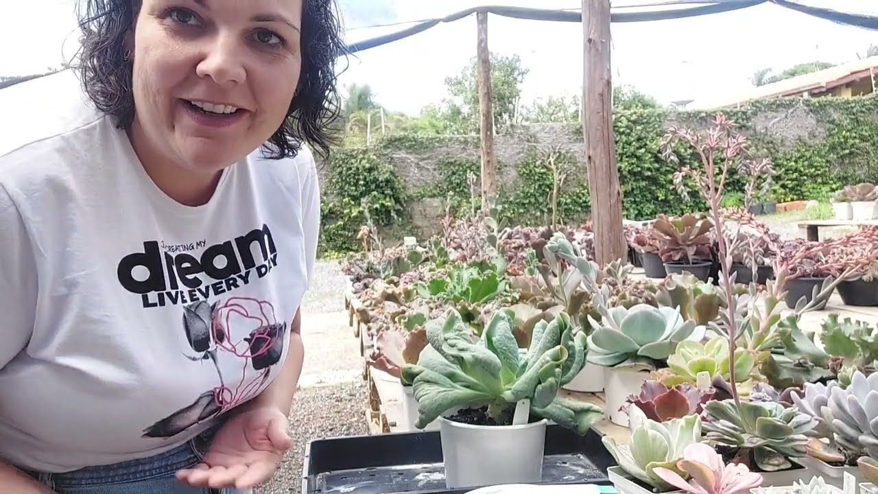 Como Podar Gibbifloras para reproduzir ?