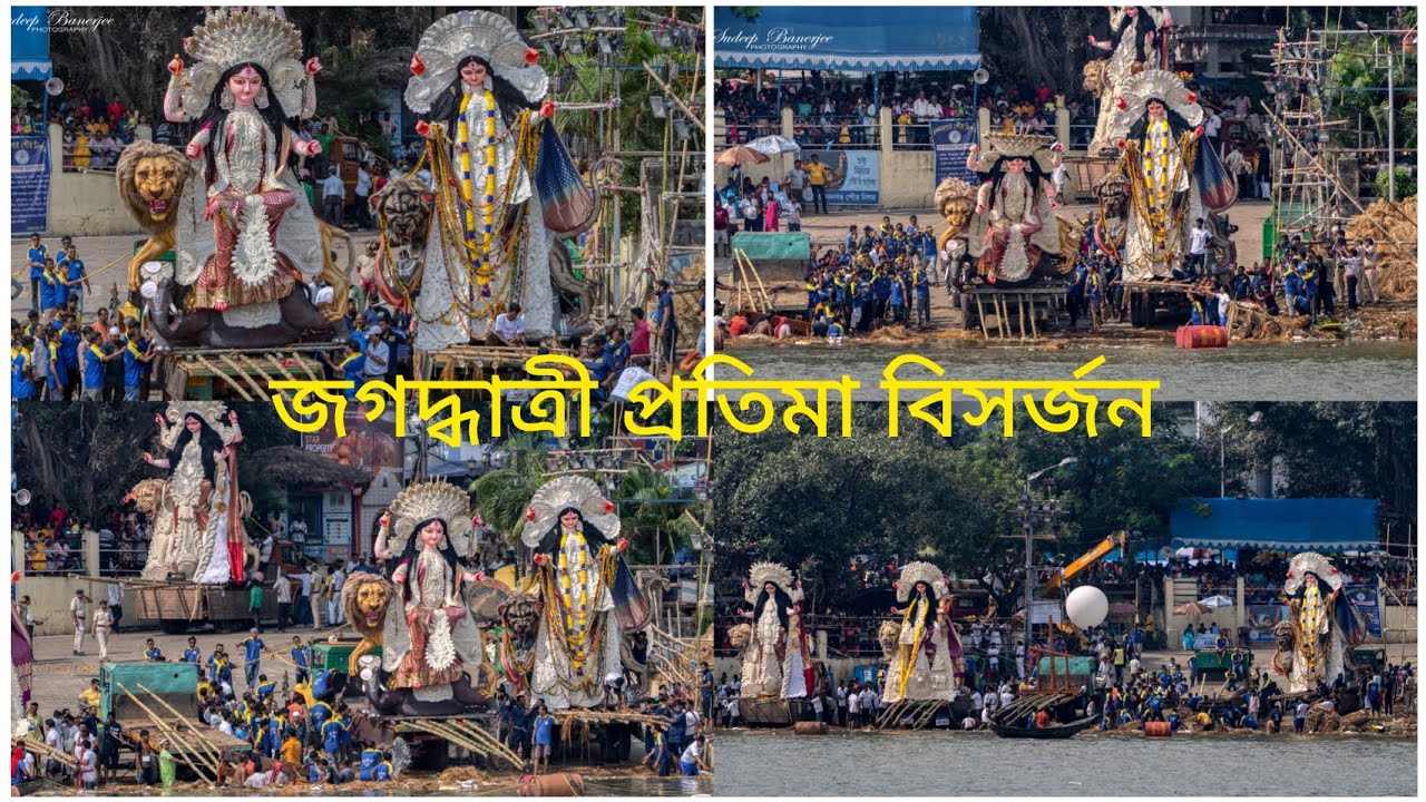চন্দননগরের জগদ্ধাত্রী প্রতিমা বিসর্জন🙏
