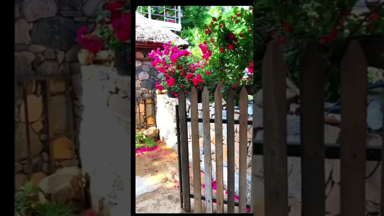 A moment in a rural area of China 318 🇨🇳 | Real Life in China shorts