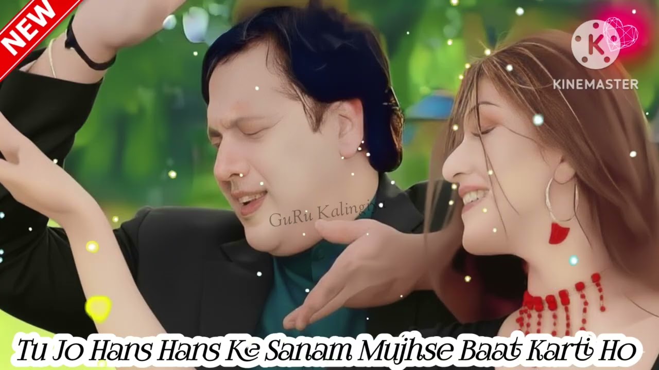 Tu Jo Hans Hans Ke Sanam | Raja Bhaiya | Udit Narayan | Govinda    Song:- Tu Jo Hans Hans Ke Sanam M