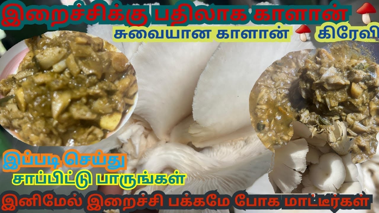 இறைச்சி கறிக்கு நிகரான மருத்துவ குணம் கொண்ட காளான் கறி /Mushroom curry has medicinal properties