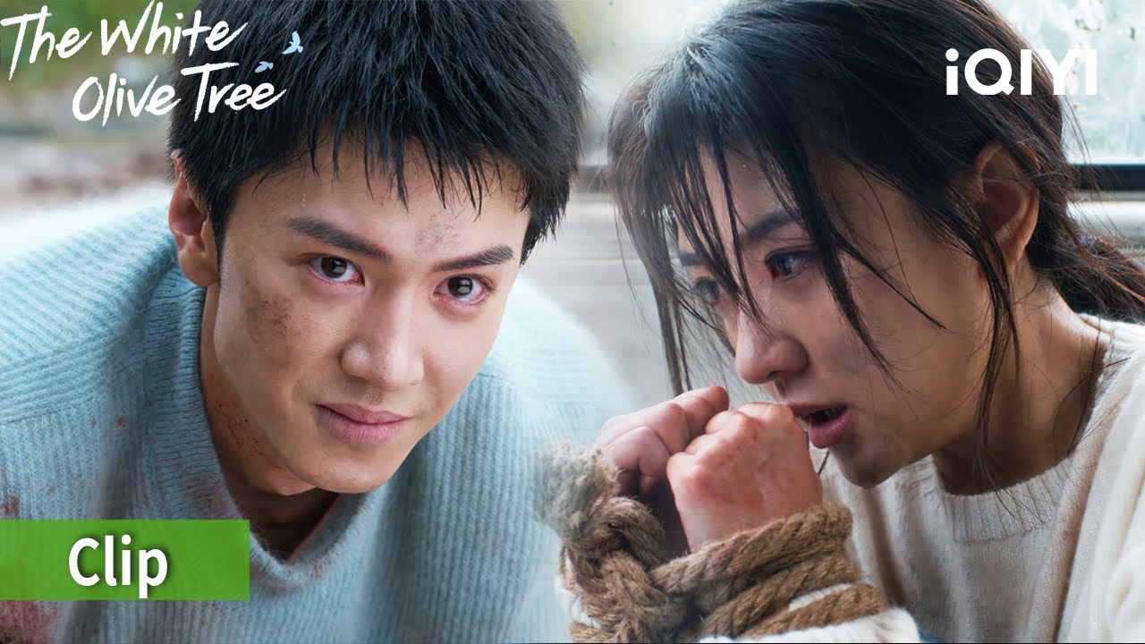 🆘 Song Ran is taken away as a hostage | 🕊️The White Olive Tree | iQIYI Philippines