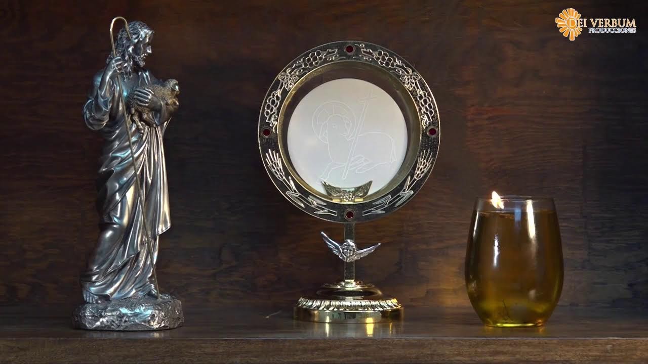 Momentos de oración | Padre Martín Ávalos | Estamos orando por tus intenciones
