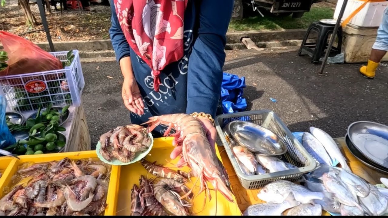 PASAR PAGI NAT SUNGAI KOROK KEDAH. UDANG HARIMAU MONSTER BESAR TAPAK TANGAN SEKILO RM100.00