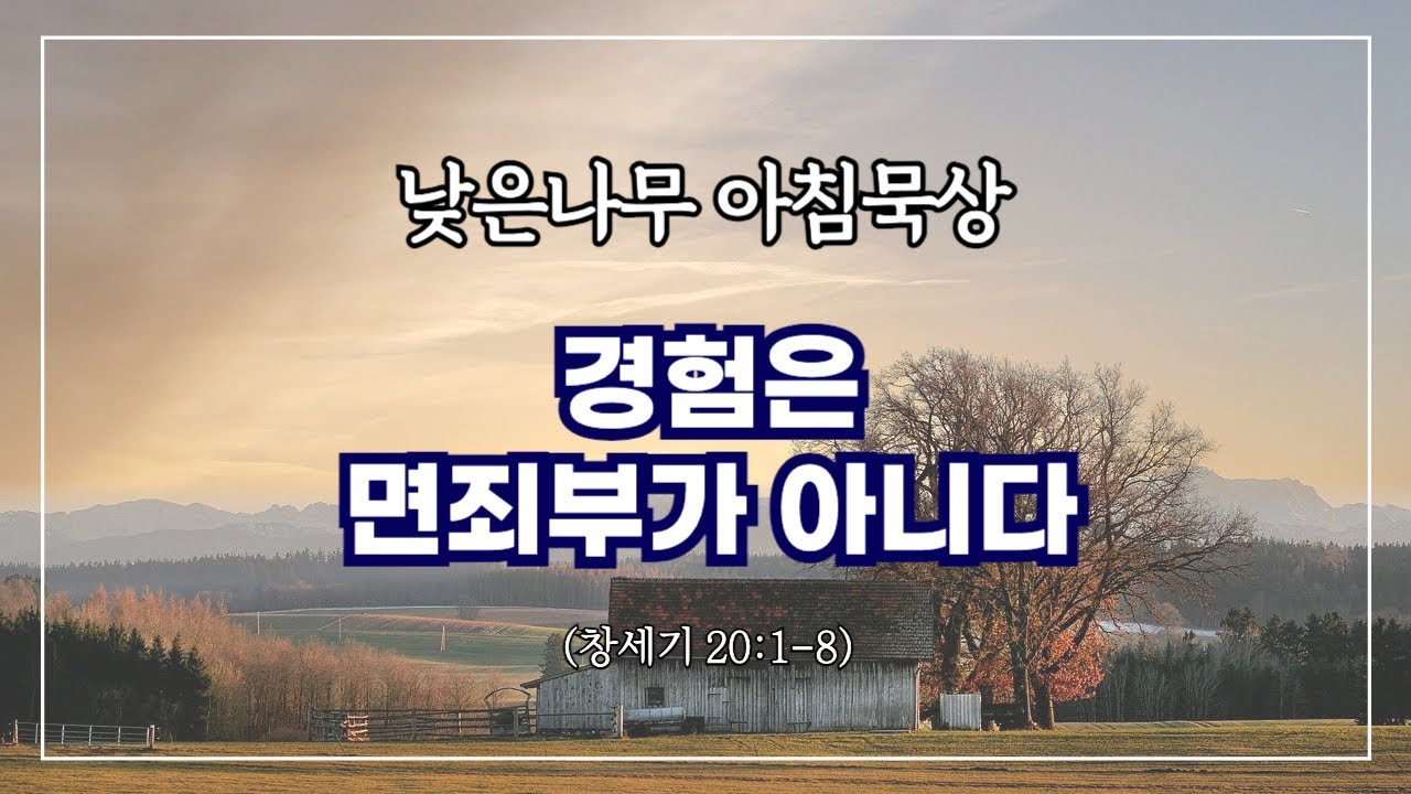 [낮은나무 아침묵상] _경험은 면죄부가 아니다  _창세기 20:1-8 _신원동 낮은나무교회
