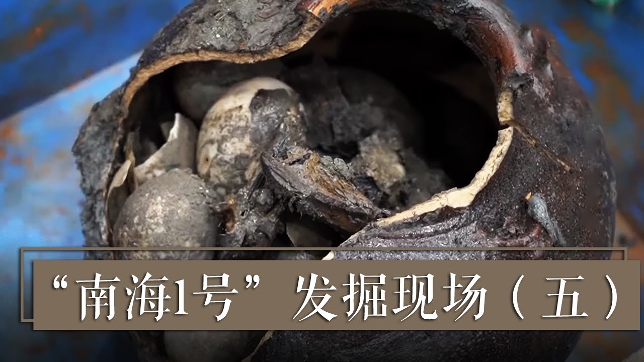 那些漂洋过海“跑业务”的古人 在航船上都吃些什么呢？《2019考古进行时》第一季 “南海1号”发掘现场（五）| 中华国宝