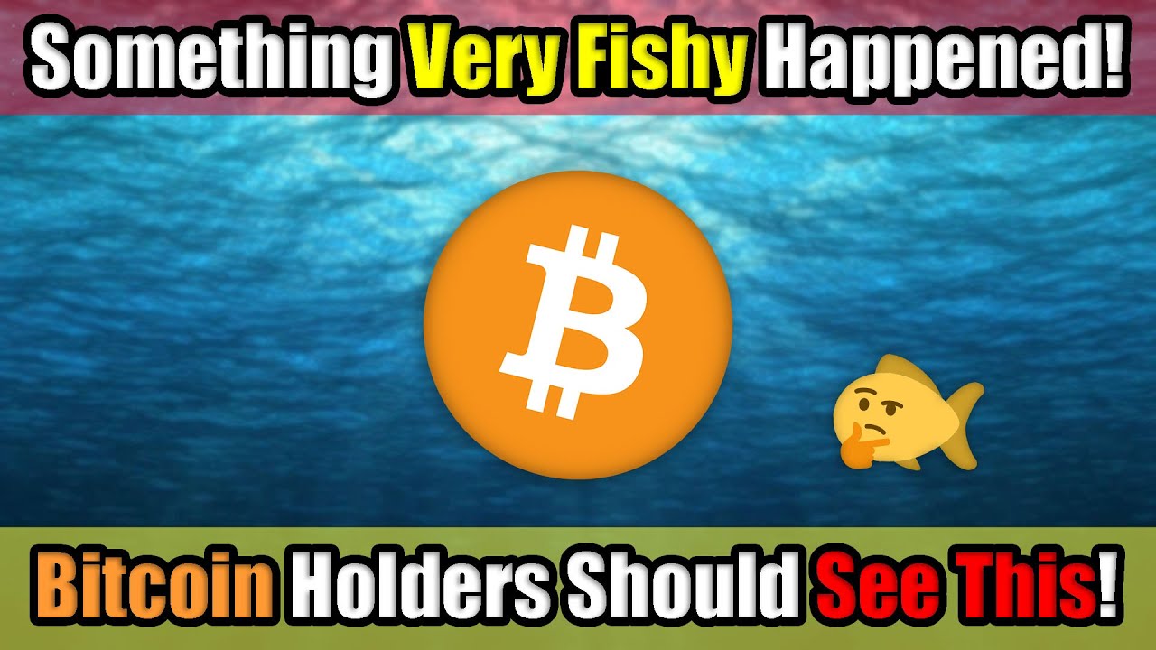 Something Very FISHY is Happening RIGHT NOW in Cryptocurrency in October 2020! [BE AWARE]