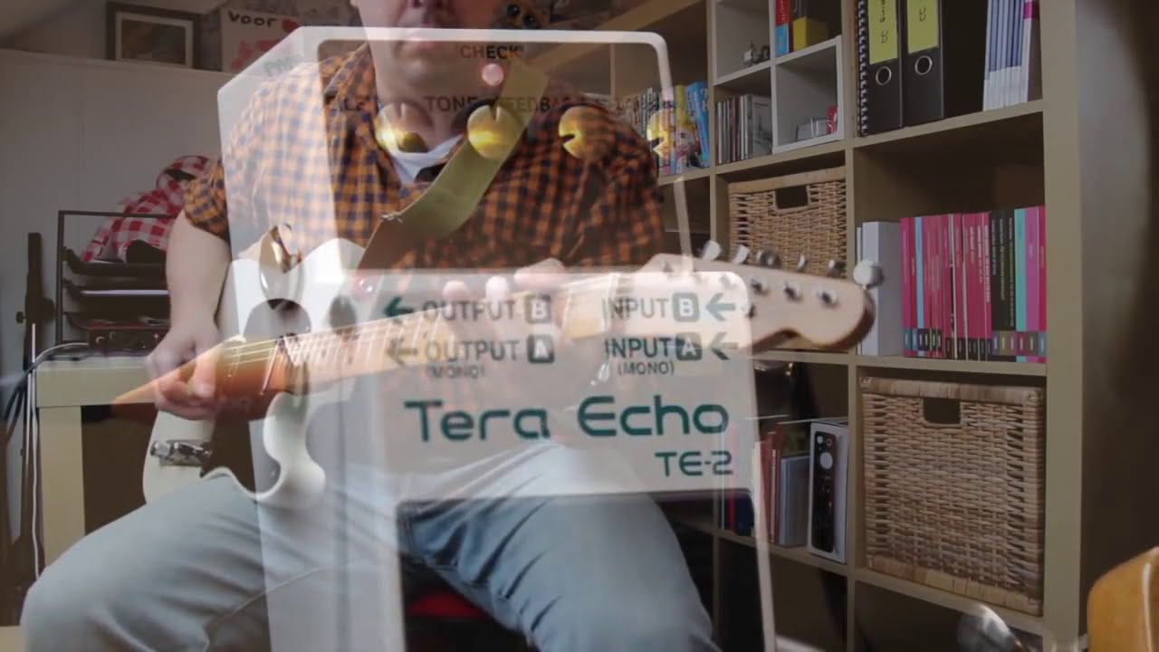 Boss TE-2 Tera Echo